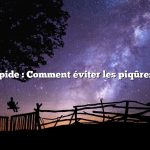 Réponse rapide : Comment éviter les piqûres d’insectes